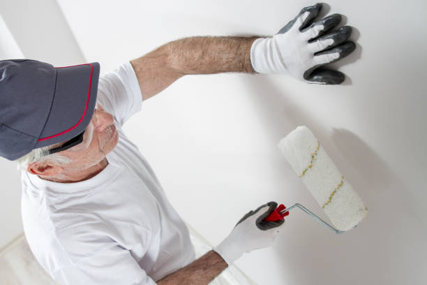 Best Post-Construction Mold Inspection  in West Brownsville, PA