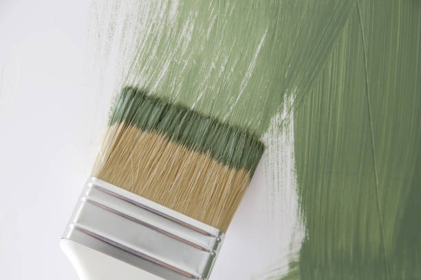 Best Attic Mold Removal  in West Brownsville, PA