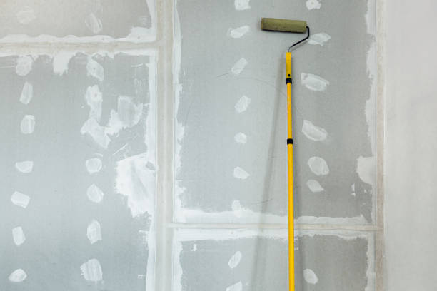 Best Post-Construction Mold Inspection  in West Brownsville, PA