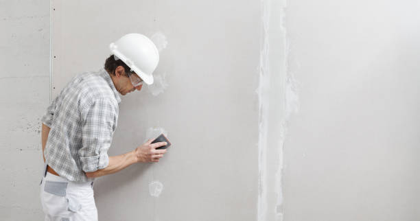 Biohazard Mold Removal in West Brownsville, PA