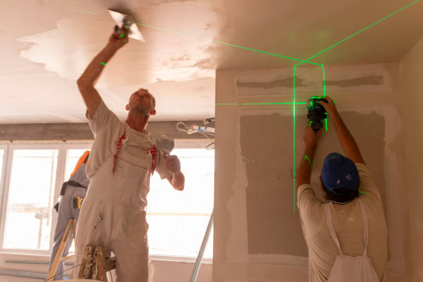 Best Mold Remediation for Healthcare Facilities  in West Brownsville, PA